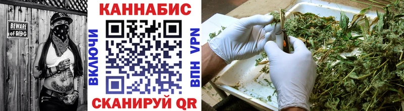 Купить где  Шуя  Бошки Шишки OG Kush 